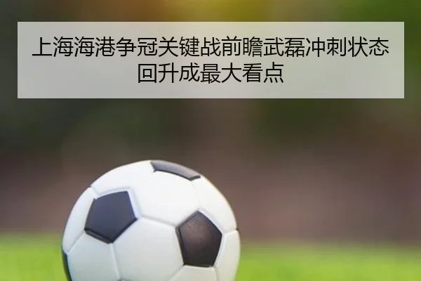 上海海港争冠关键战前瞻武磊冲刺状态回升成最大看点 - BaJIeSPORtS